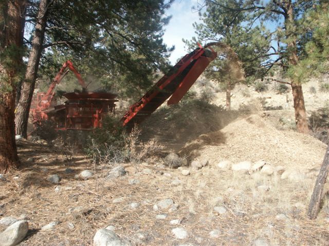 Morbark 1300 tub grinder handling the Mesa Antero Subdivision community slash pile.